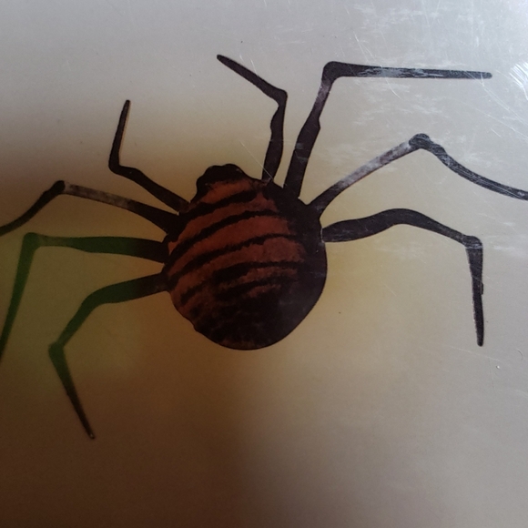 Martha Stewart 3 🕷 spider illuminated silhouettes - Picture 6 of 6